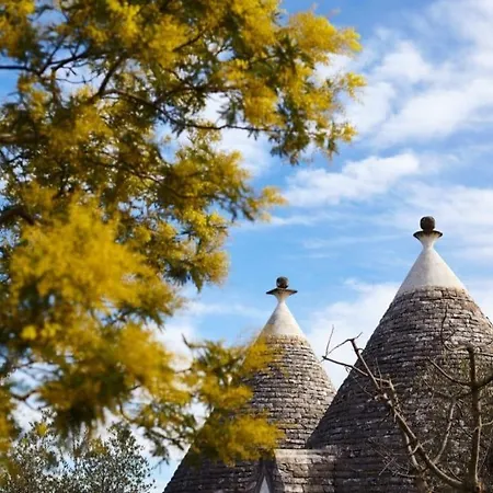 Holiday home Trullo Dei Fiori Cisternino